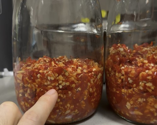 发酵辣椒酱