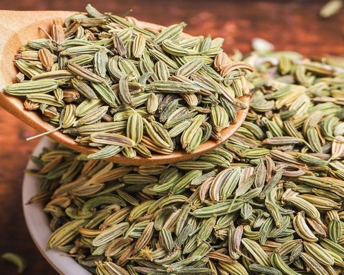 茴香