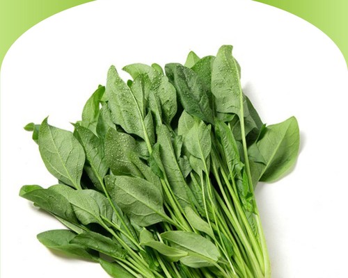 菠菜