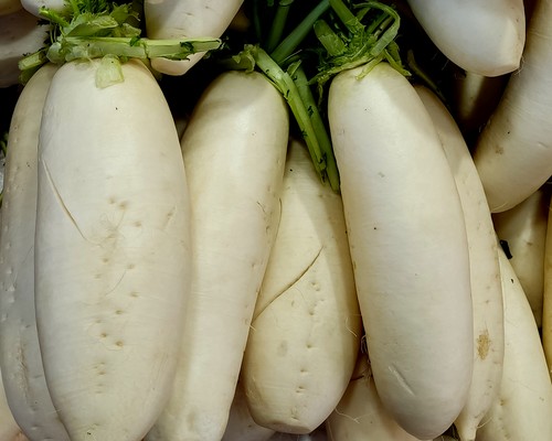 白萝卜