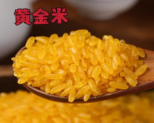 黄金米