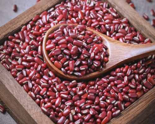 赤小豆